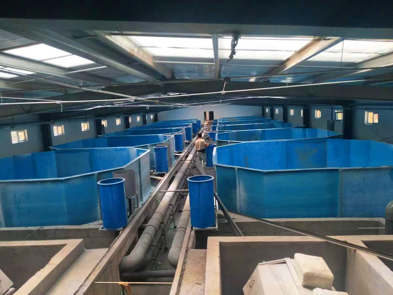 玻璃鋼魚槽